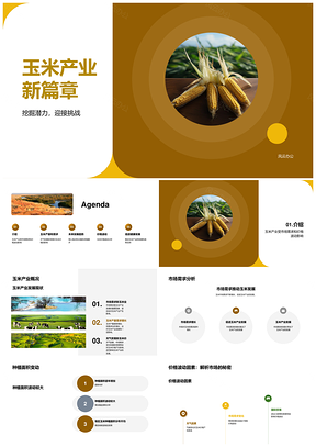 玉米产业发展趋势与种植市场动向分析PPT模板