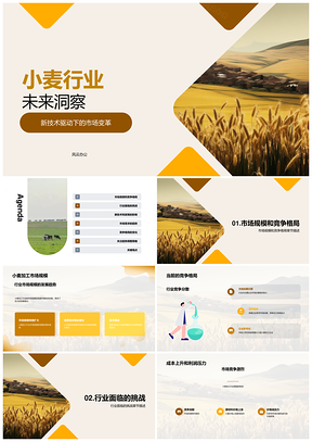小麦加工行业趋势市场格局成本利润可持续发展PPT模板