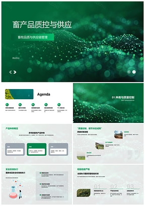 畜产品质控供应链管理安全策略PPT模板
