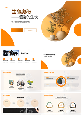 植物生长生命周期与光合作用保护PPT模板