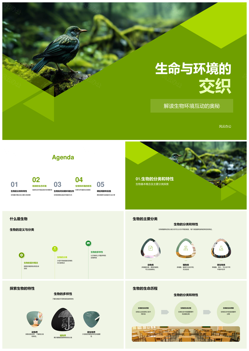 生物环境适应与水林生态系统PPT模板