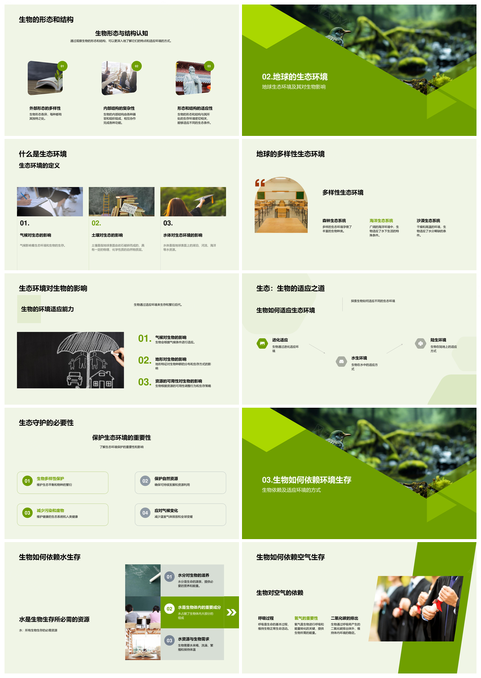 生物环境适应与水林生态系统PPT模板