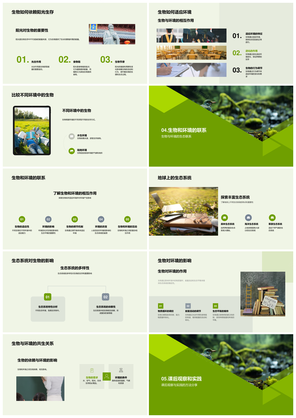 生物环境适应与水林生态系统PPT模板