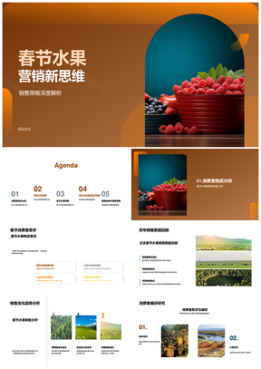 春节水果营销趋势与消费需求策略PPT模板