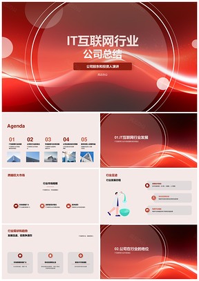 IT互联网行业公司发展总结PPT模板