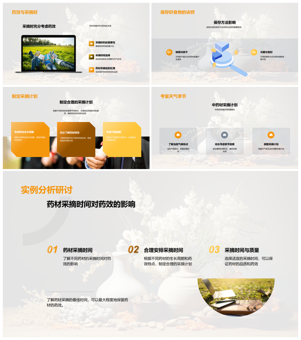 大暑中药材采摘保存处理技巧人参品质检验PPT模板