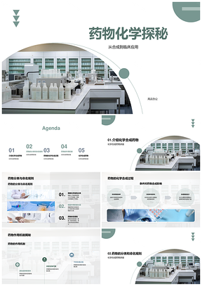 药物化学师研发应用结构分类命名解析PPT模板