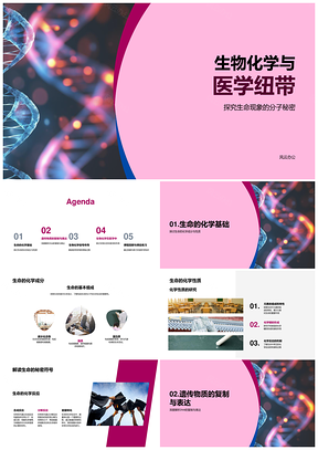 生物化学与医学中的生命分子机制PPT模板