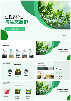 生物多样性保护与生态教育培训PPT模板