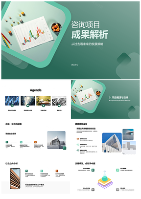 咨询项目发展策略行业趋势分析战略建议PPT模板
