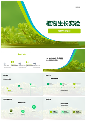 植物生长全生命周期温光实验PPT模板