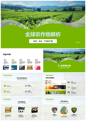 全球农作物分类生长产地与小麦稻米研究PPT模板