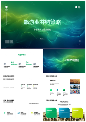 2025旅游业并购策略市场拓展运营优化商业效果风险PPT模板
