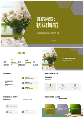 一年级舞蹈启蒙基础课程课件定义分类起源芭蕾舞鞋PPT模板