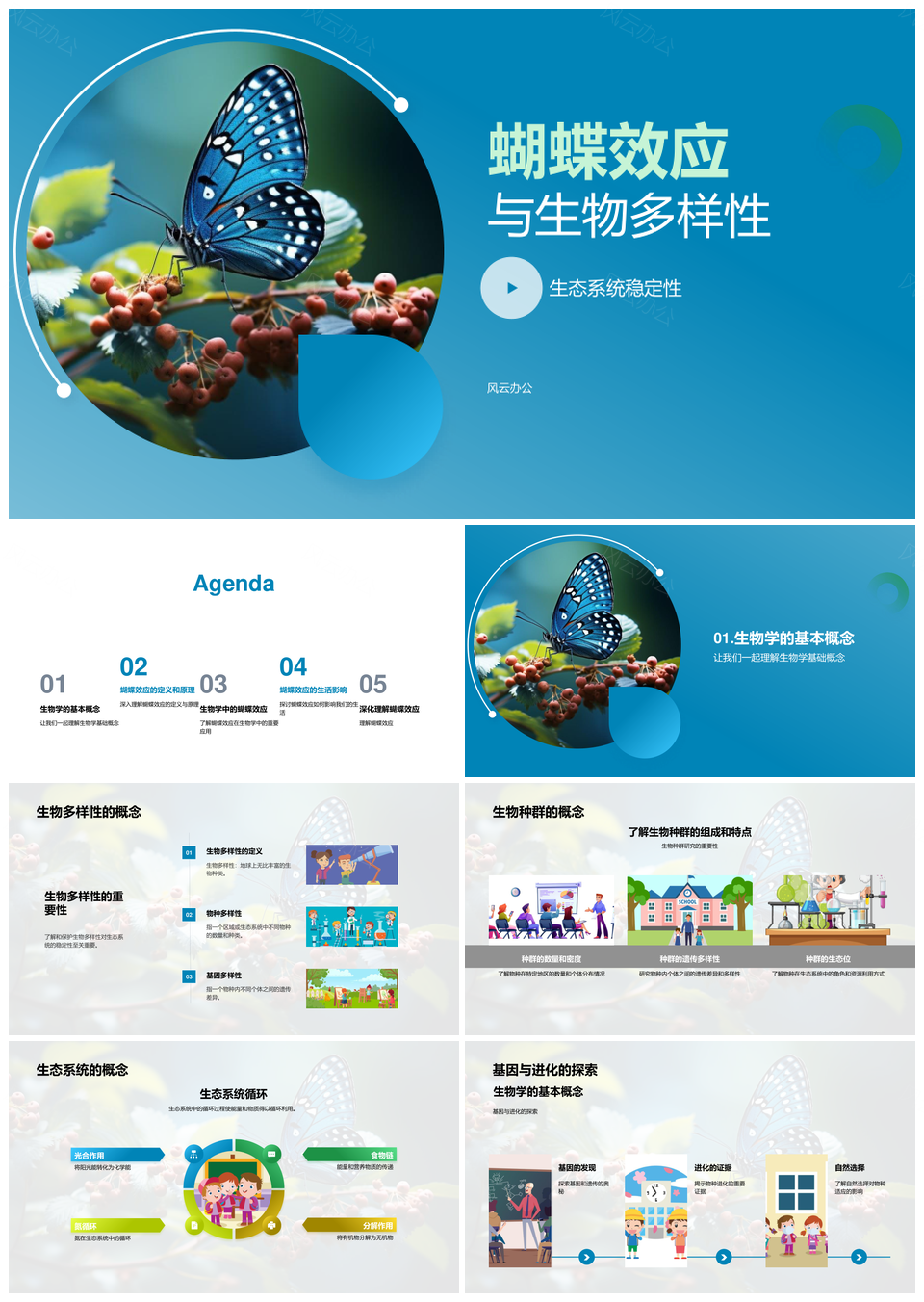 蝴蝶效应影响生物多样性稳定PPT模板
