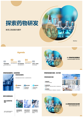 新员工药物研发全阶段流程与角色定位PPT模板