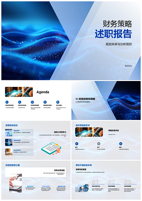 2025财务策略规划分析公司业绩述职报告PPT模板