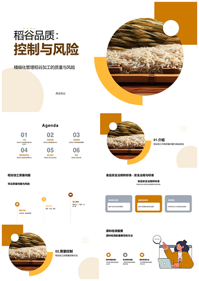 稻谷加工质量控制与风险管理PPT模板