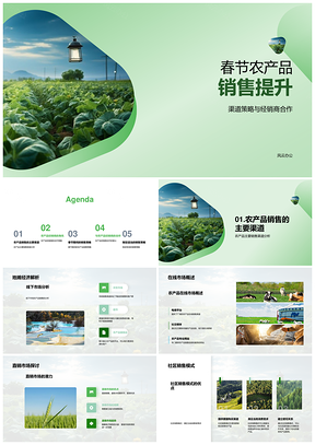 春节农产品销售渠道策略与经销商合作促销PPT模板