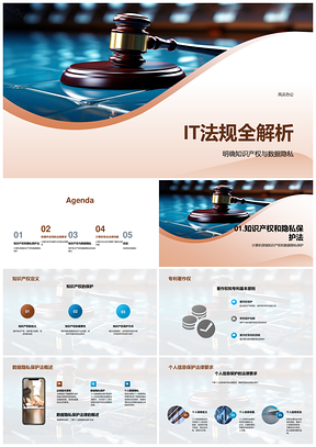 计算机法律风险与知识产权数据隐私保护法规PPT模板