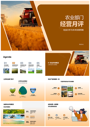 农业部门经营收益分析及策略展望PPT模板