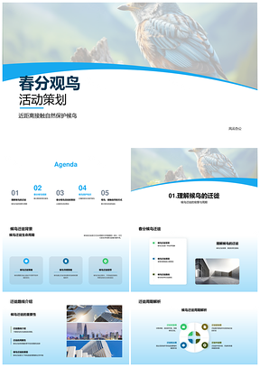 春分公园候鸟迁徙观护活动策划PPT模板