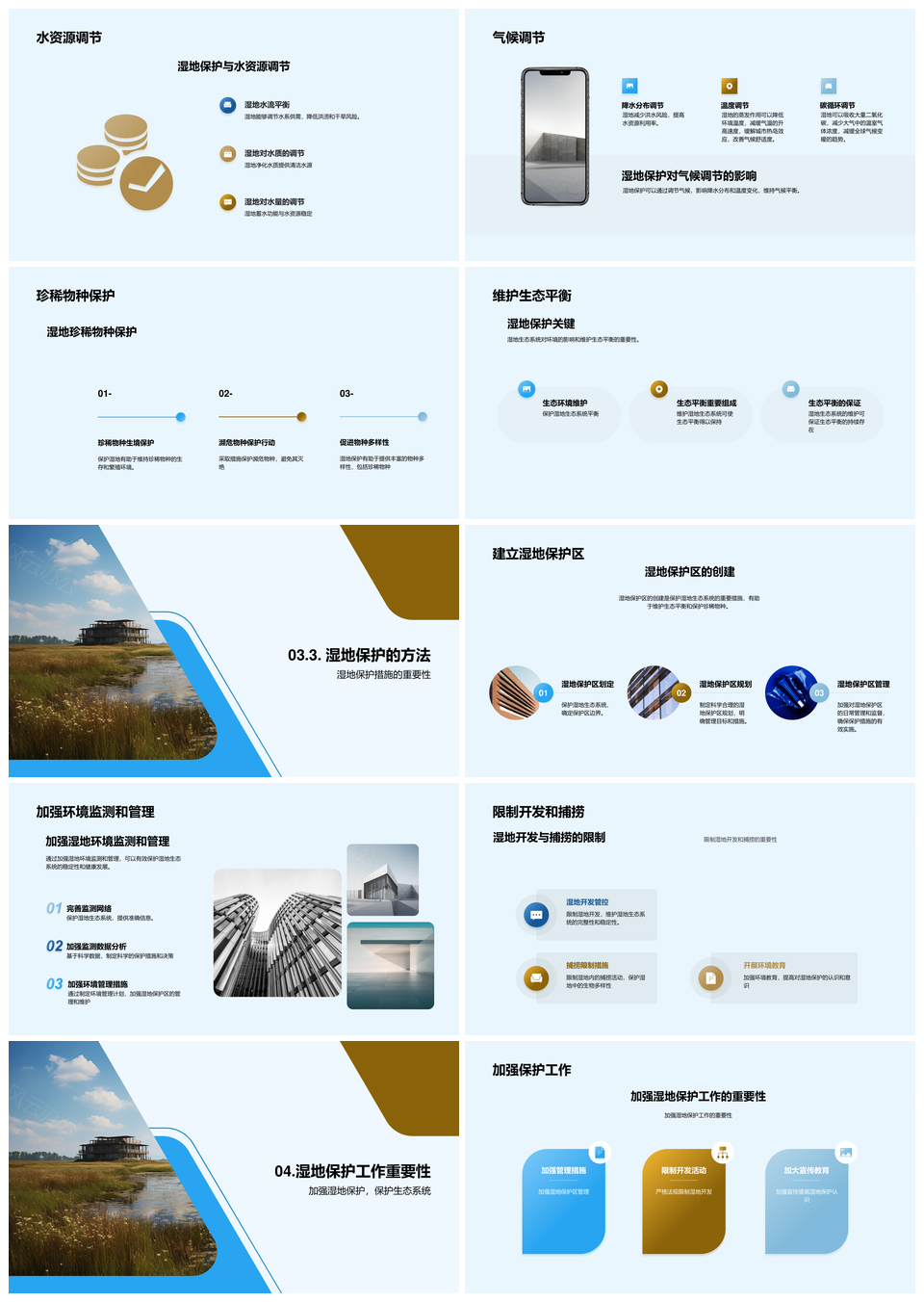 湿地保护维系生态平衡守护生物多样性PPT模板