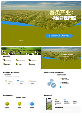 薯类种植财务趋势与利润市场分析PPT模板