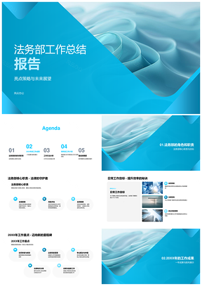 2025法务工作总结亮点策略未来案例合同审查资源节省法律讲座PPT模板