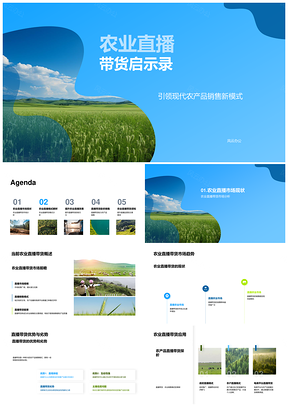 农业直播带货趋势与模式优劣分析PPT模板