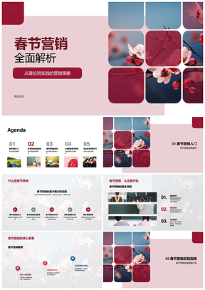 蓝星春节樱花树创新营销策略全案PPT模板