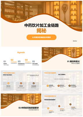 中药饮片加工全流程采集炮制制粒包装PPT模板