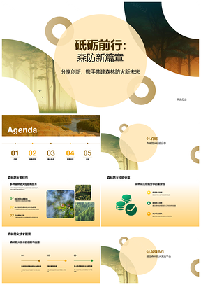 森林防火经验分享会业界共启新篇章PPT模板