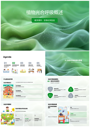 植物光合呼吸维持生命葡萄糖生物反应PPT模板