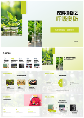 小学科学课植物呼吸光合实验观察PPT模板