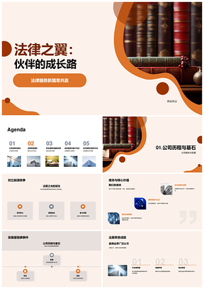 法盾团队商民诉讼专业定制创新PPT模板
