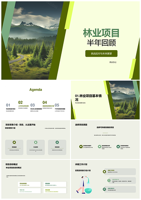 林业项目半年回顾挑战应对与未来展望PPT模板
