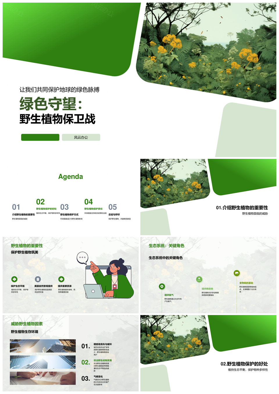 守护野生植物维系生态美丽家园PPT模板