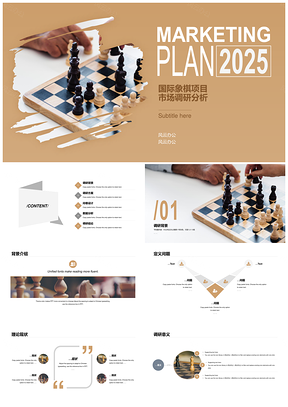 2025国际象棋项目市场调研分析PPT模板