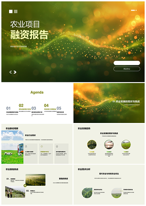 农业项目融资报告背景目标分析师投资者PPT模板