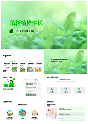 植物生长光合作用种子发芽生态保护解析PPT模板