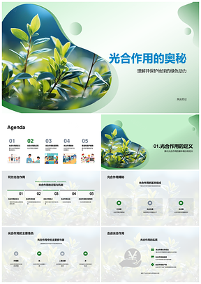 光合作用驱动植物生长守护地球生态PPT模板