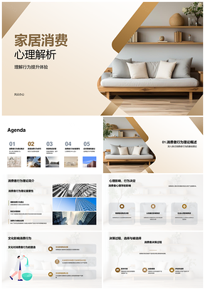 家居消费行为与品牌体验设计策略PPT模板