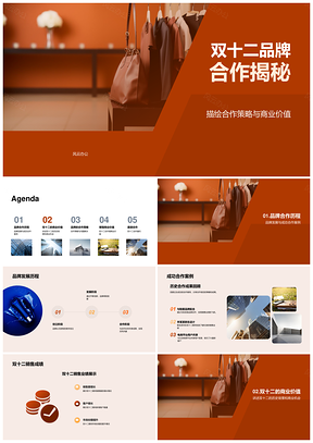 双十二品牌合作策略商业价值与销售业绩揭秘PPT模板