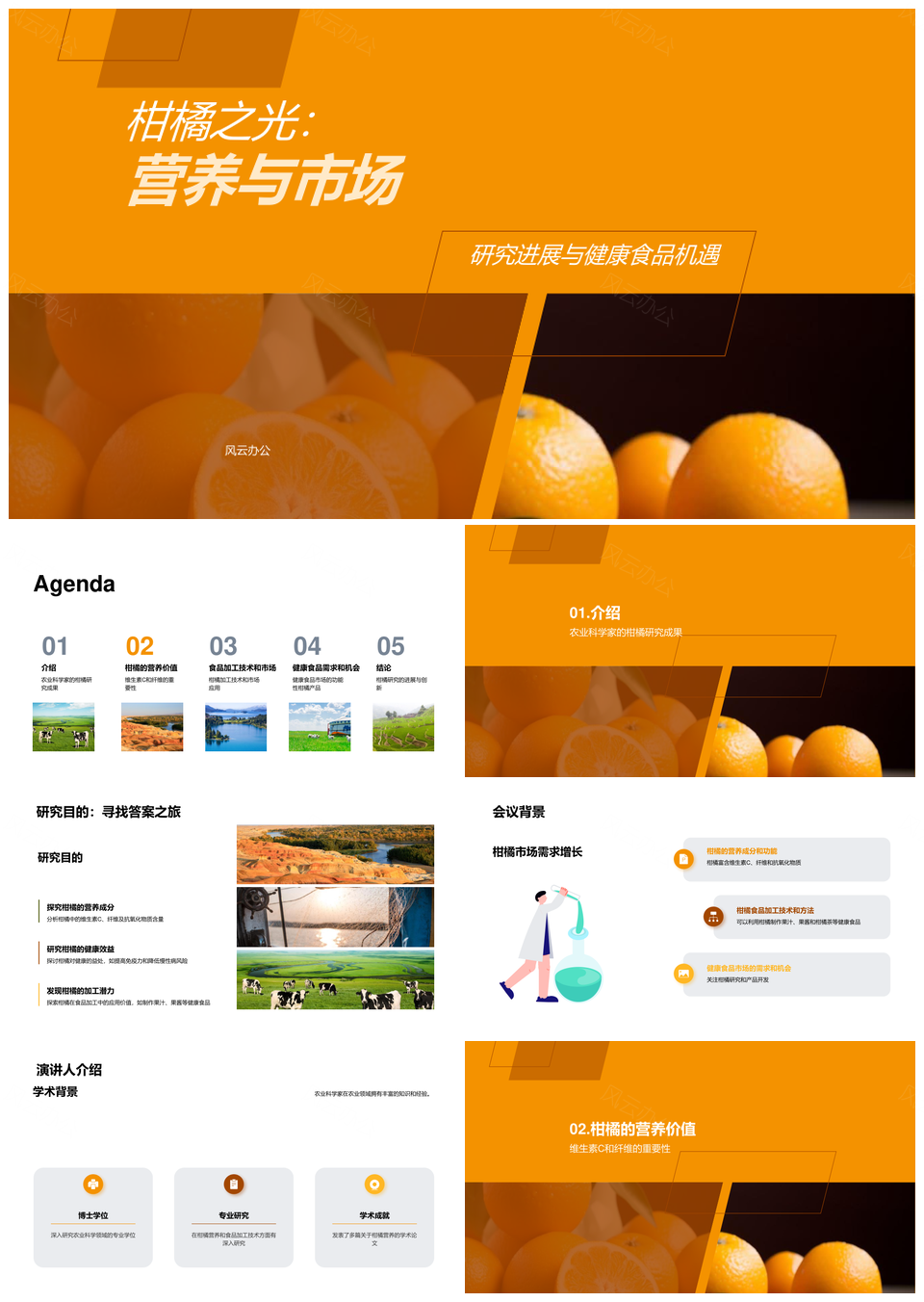 柑橘营养研究成果与加工技术市场应用PPT模板