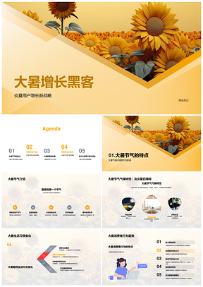 新媒体运营经理大暑用户增长活动向日葵趋势洞察PPT模板