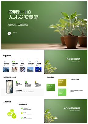 咨询行业人才供需趋势与培养策略PPT模板