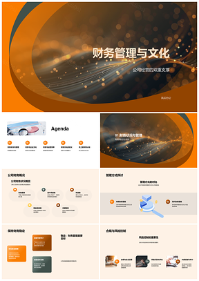企业财务文化管理增效风控稳经营PPT模板