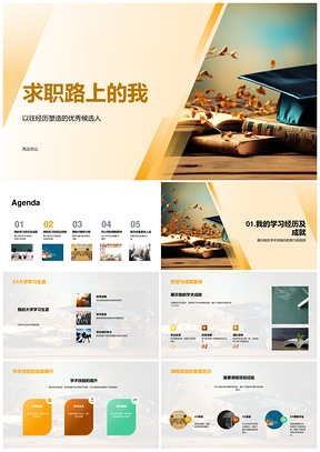 求职求学实习经验简历面试优势文化规划路PPT模板