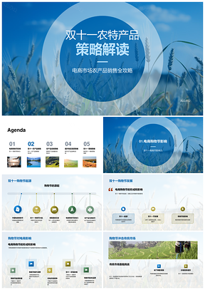 双十一农特产品电商促销策略PPT模板